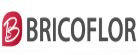 bricoflor.fr Logo