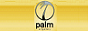 Palm Art Gallery Logo