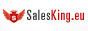 Salesking Logo