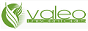 valeo-one.de Logo