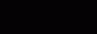 Kaiserkraft Logo